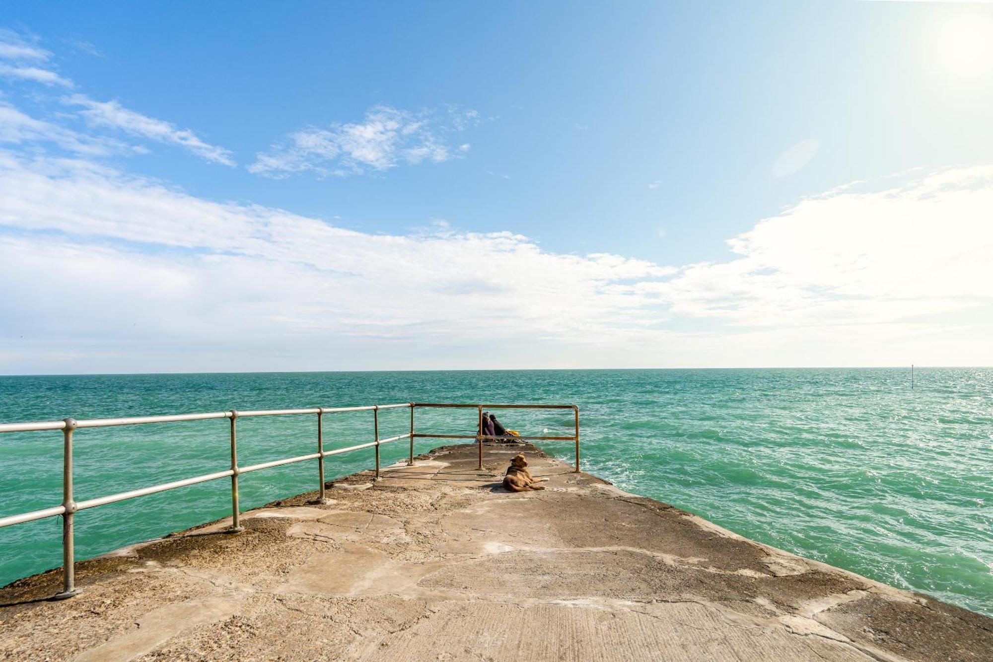 Cliff Rise Villa Seaford Kültér fotó